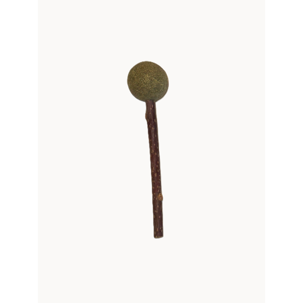 Teddy Exclusive Catnip Lolly Rond – Natuurlijk Kattenspeeltje met Matatabi & Catnip – Bruin/Groen – Ø35 x L150 mm